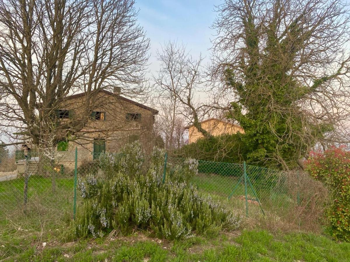 Villa Chicca - B&B Neviano degli Arduini