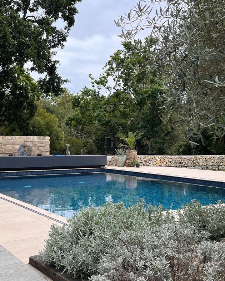 Family house -swimming pool and amazing garden - B&B