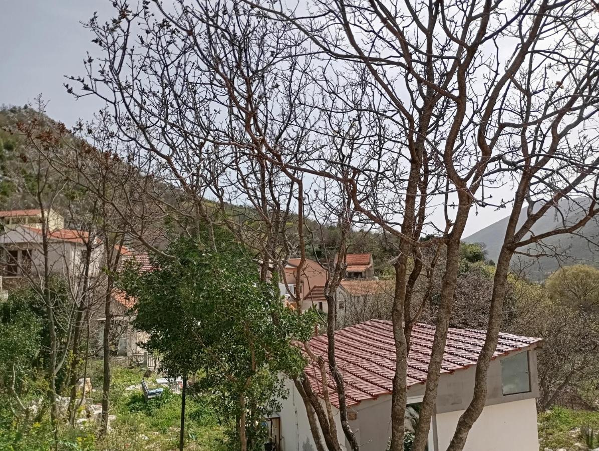 Studio Biokovo smaller object 22 m2 - B&B