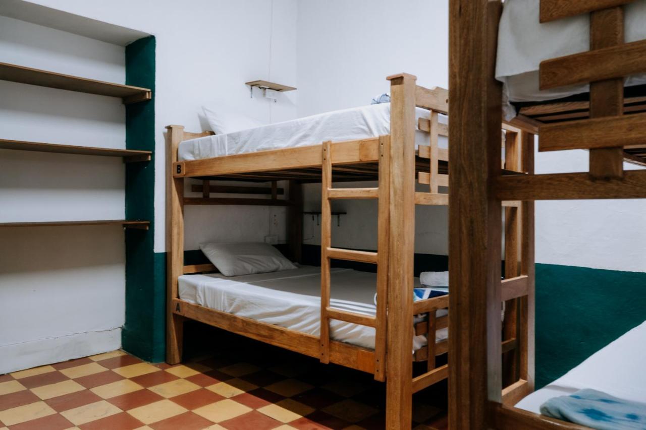 Single Bed in Mixed Dormitory Room