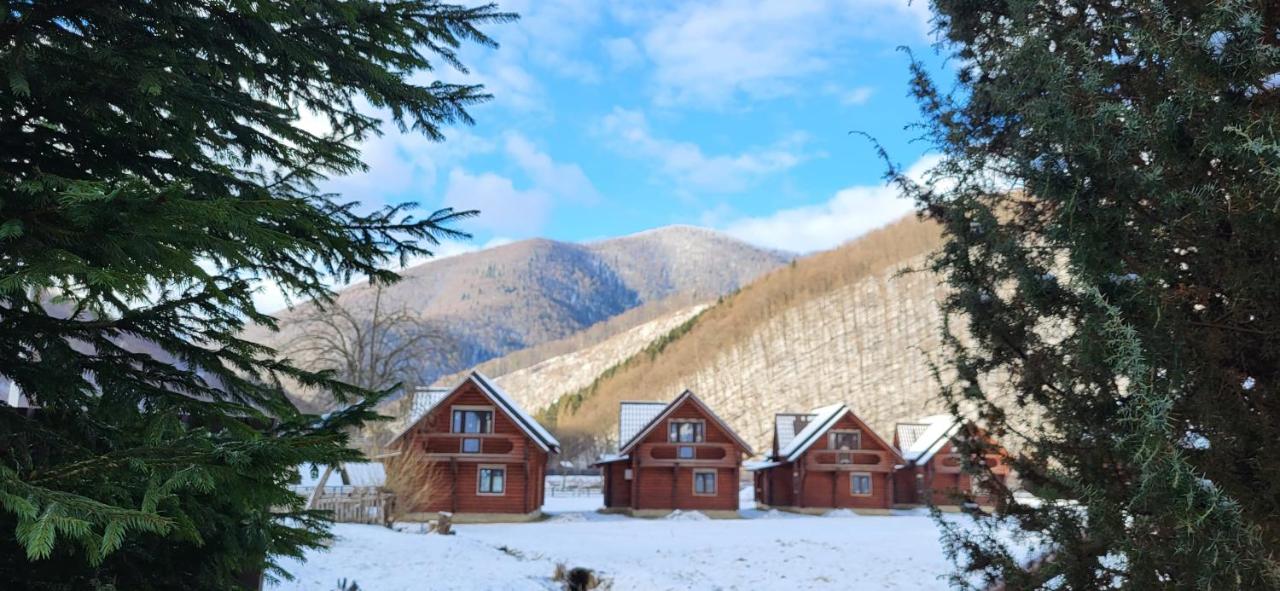 Котеджі Карпати Fest - B&B Mizhhirya
