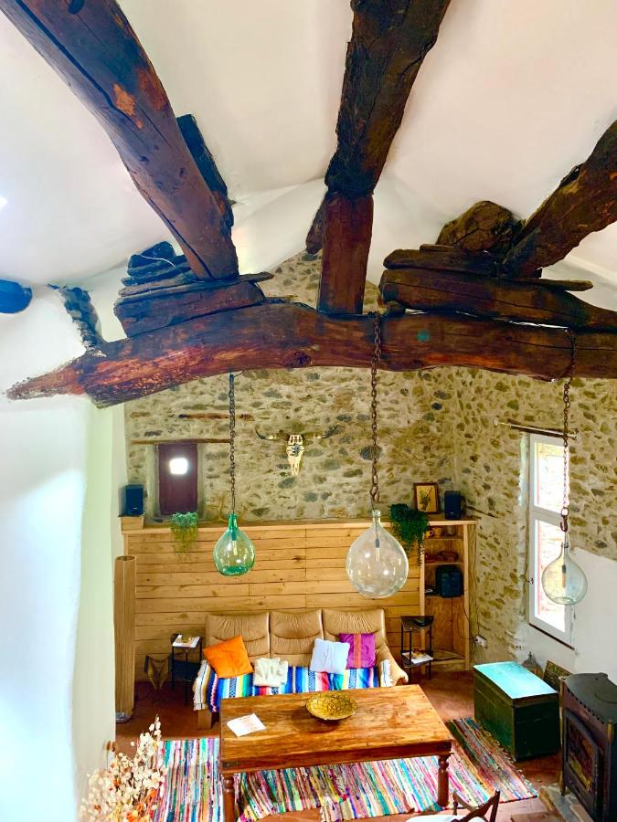 Grande maison cévenole authentique - B&B