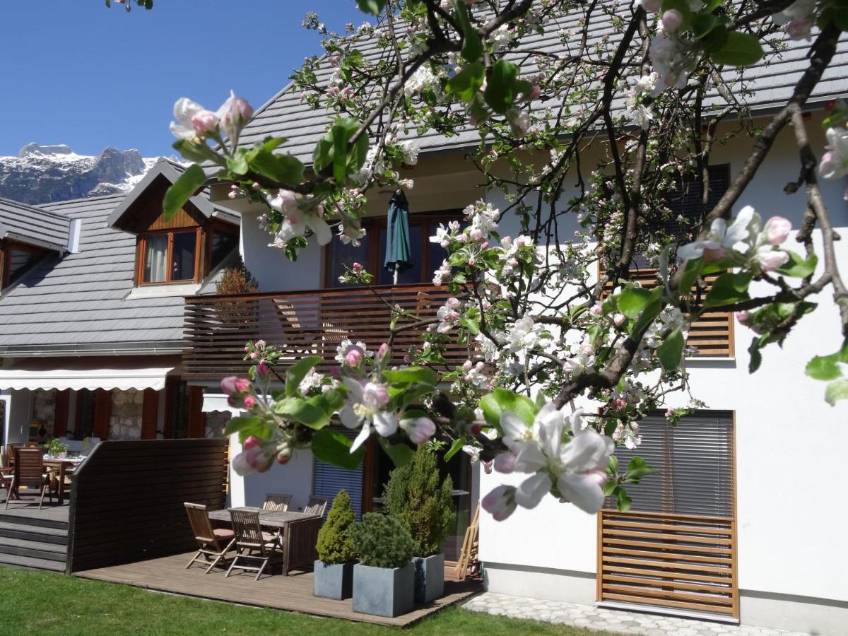 B&B Bovec - Apartments Supermjau - Bed and Breakfast Bovec