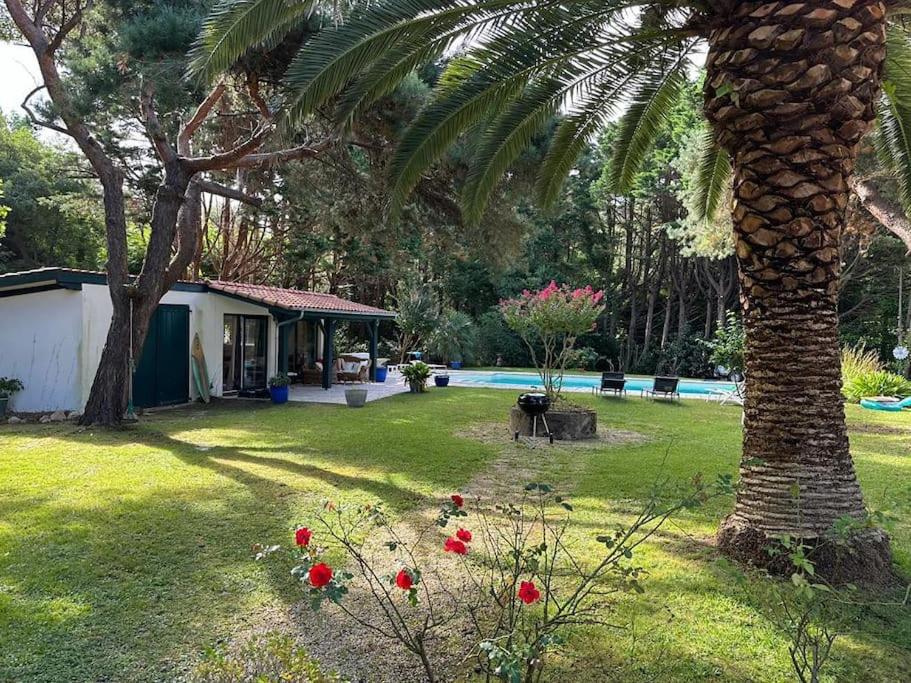 Appartement indépendant Guethary - B&B