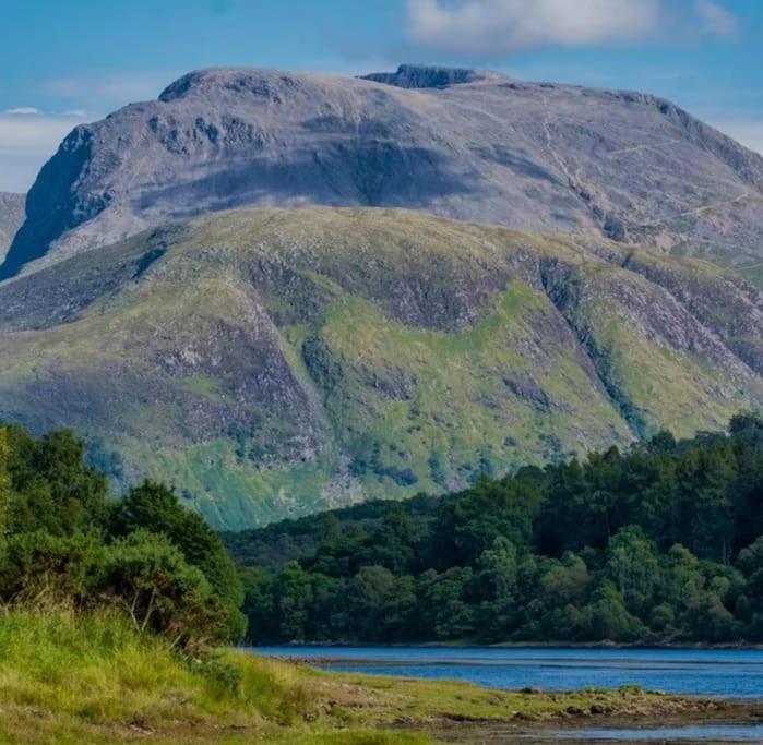 Seafield Lodge - Bed and Breakfast
