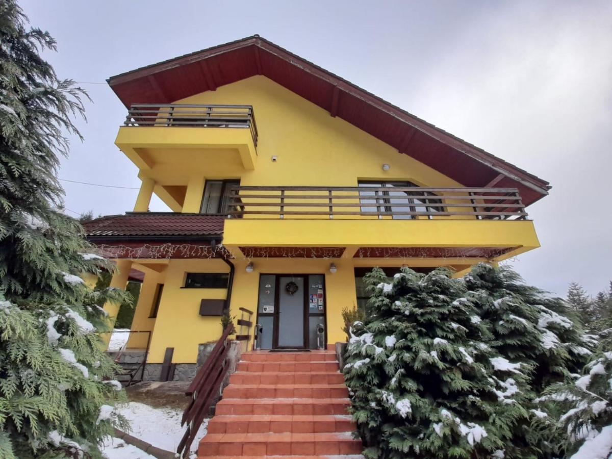 Predeal Holiday House - B&B Predeal