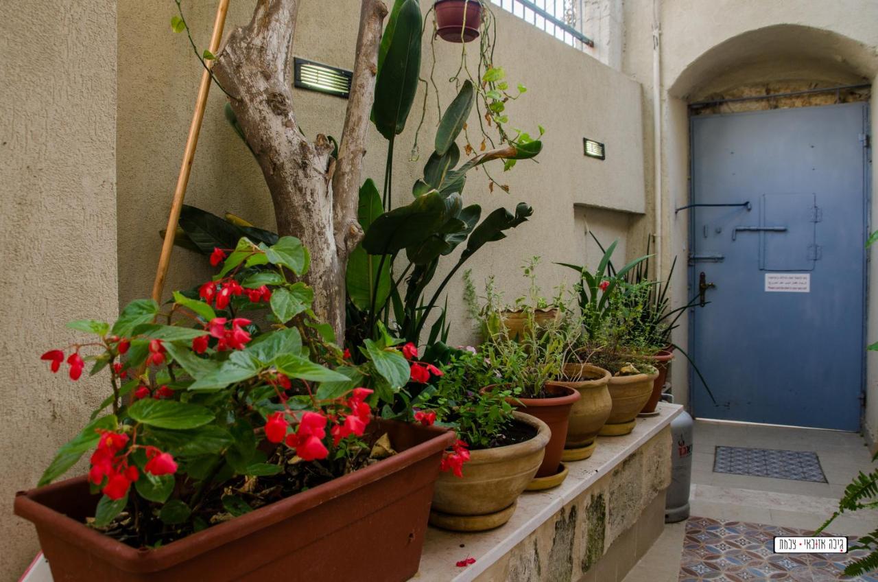 Alexandra House - B&B Nazaret