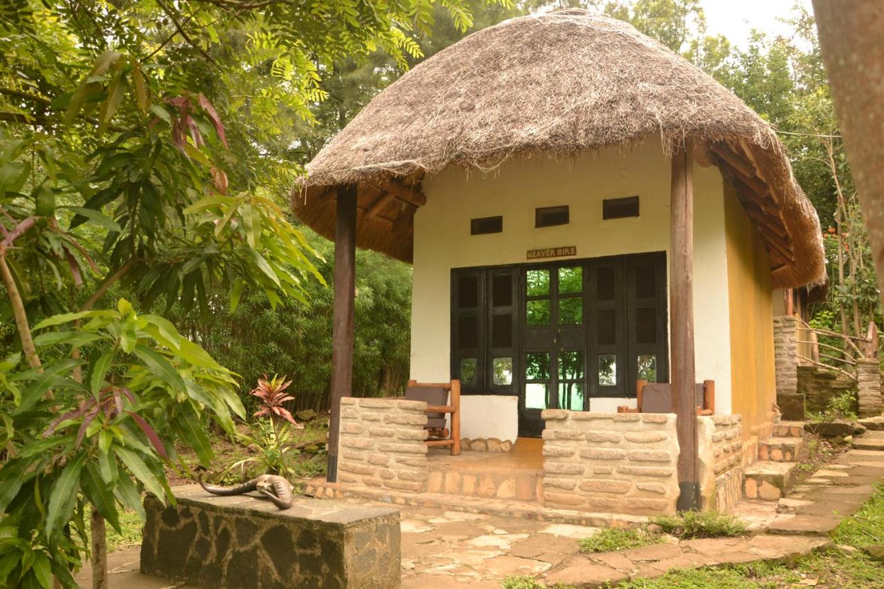 Pumba Safari Cottages - Bed and Breakfast