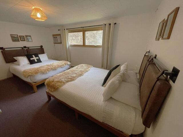 Deluxe Queen Suite