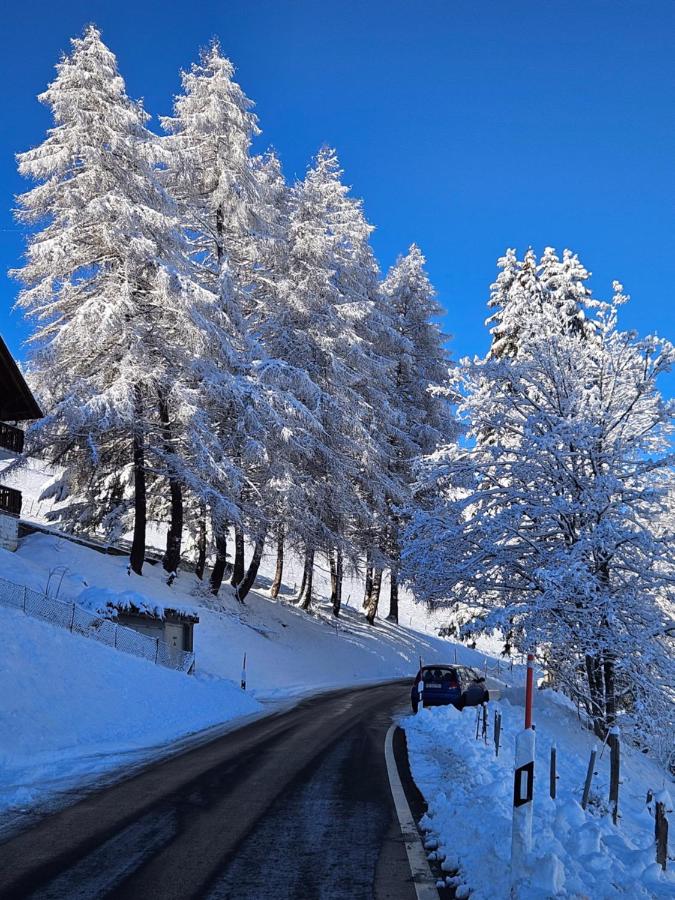 Sweet & Cosy Chalet in the heart of the Swiss Alps - Chambres d'hôtes Troistorrents
