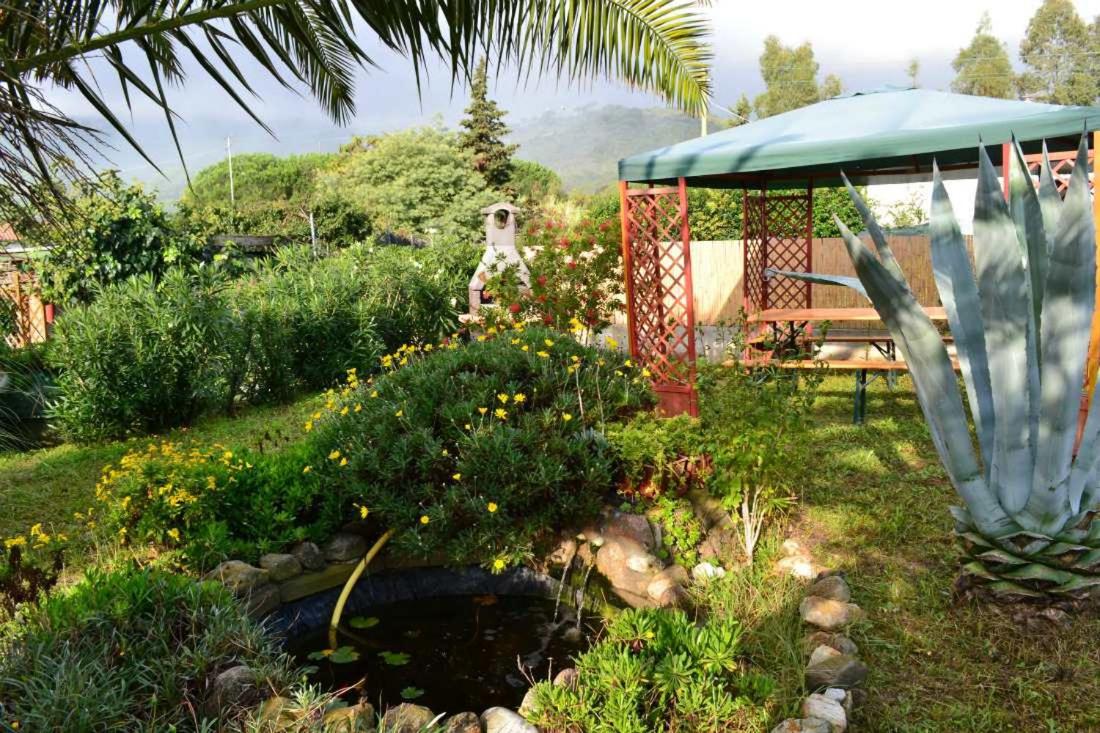 Granseola - B&B