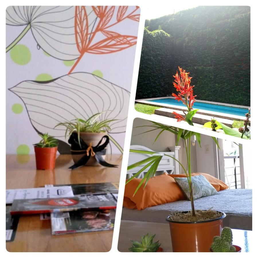 Donde el alma sonrie AHI ES piscina jardin facil acceso por Avda 9 de Julio - B&B