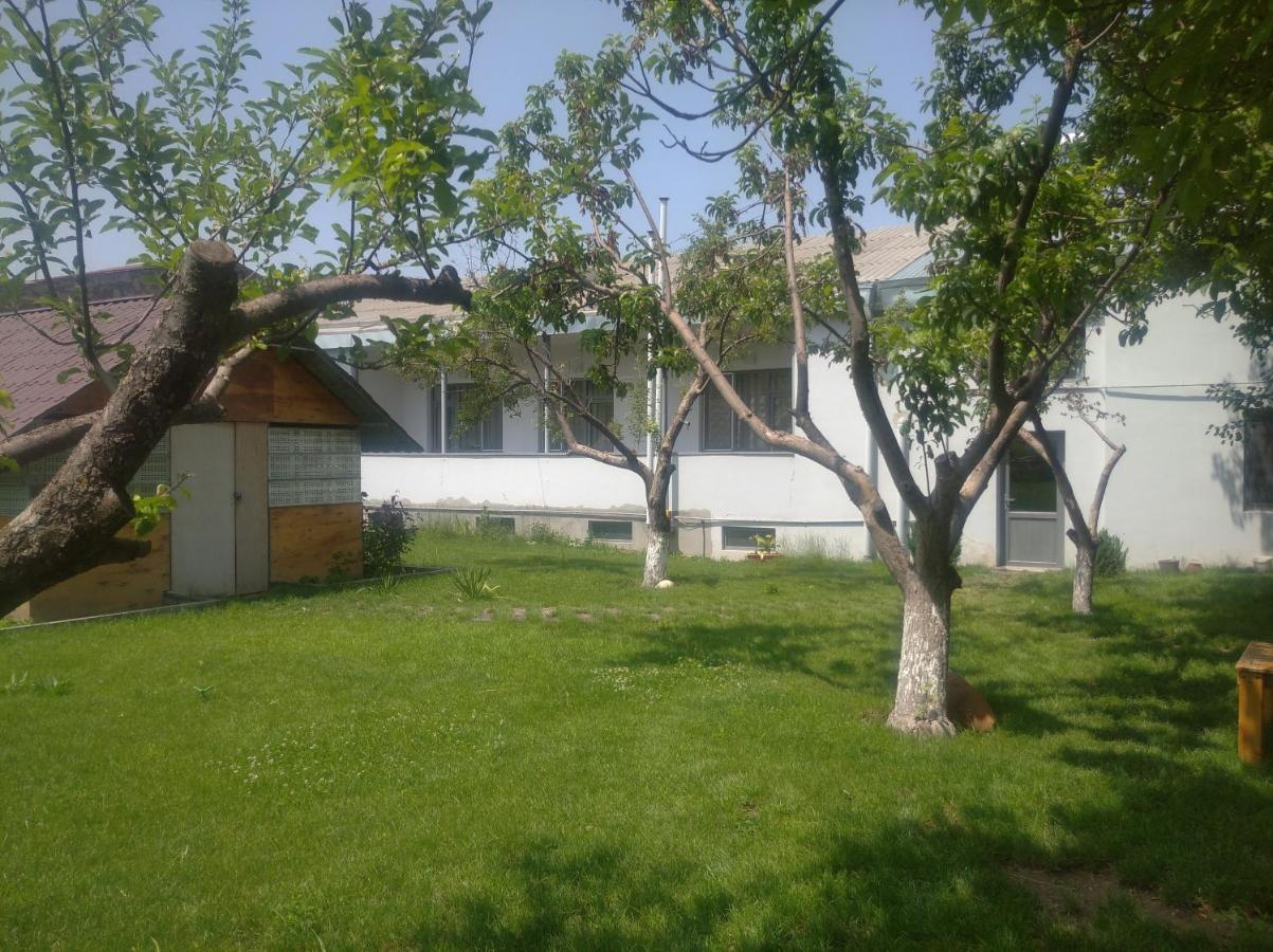 Villa Spartak Sisian - B&B Sisian