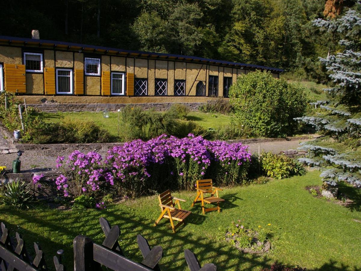 B&B Kaifenheim - Idyllic studio apartment near Kaifenheim and near the forest - Bed and Breakfast Kaifenheim