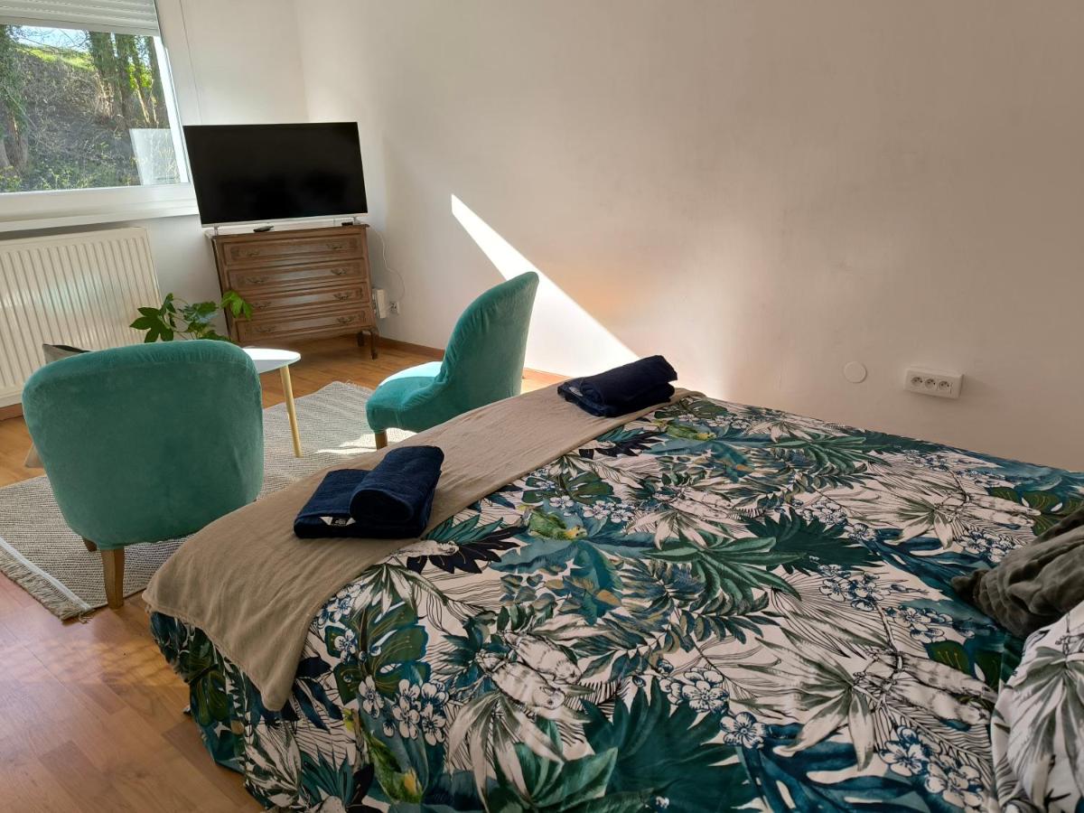 B&B Sarrebourg - Studio d'Angélique - Bed and Breakfast Sarrebourg