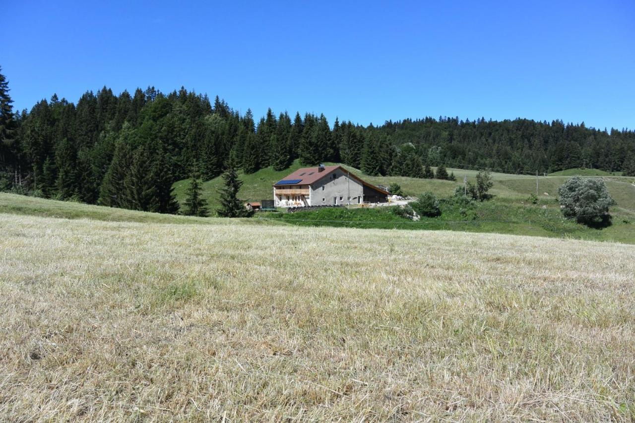 B&B Les Moussières - Gîtes Tré Le Grenier - Bed and Breakfast Les Moussières