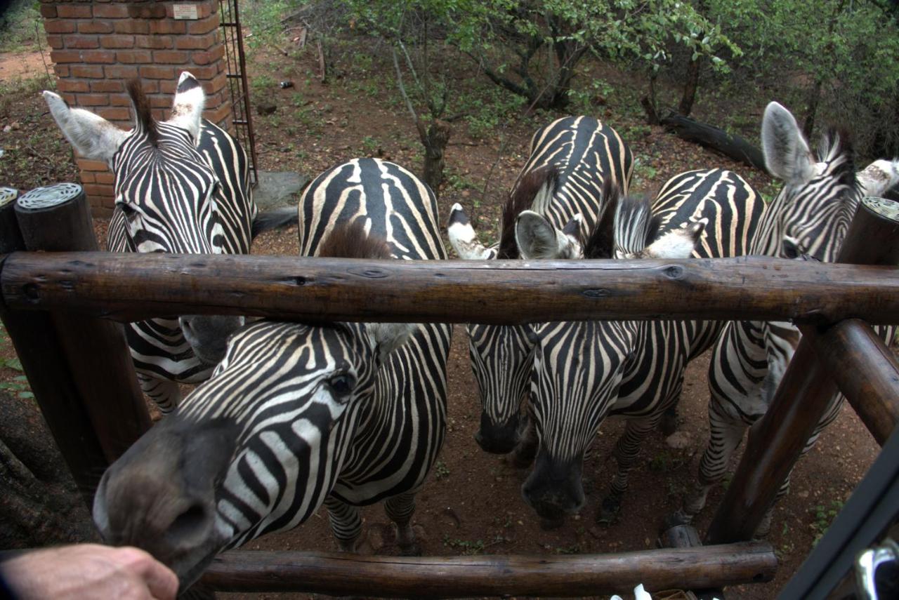 B&B Marloth Park - Marty's Rest - Bed and Breakfast Marloth Park