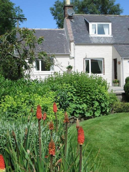 Westlea Cottage - Ferienwohnung Turriff
