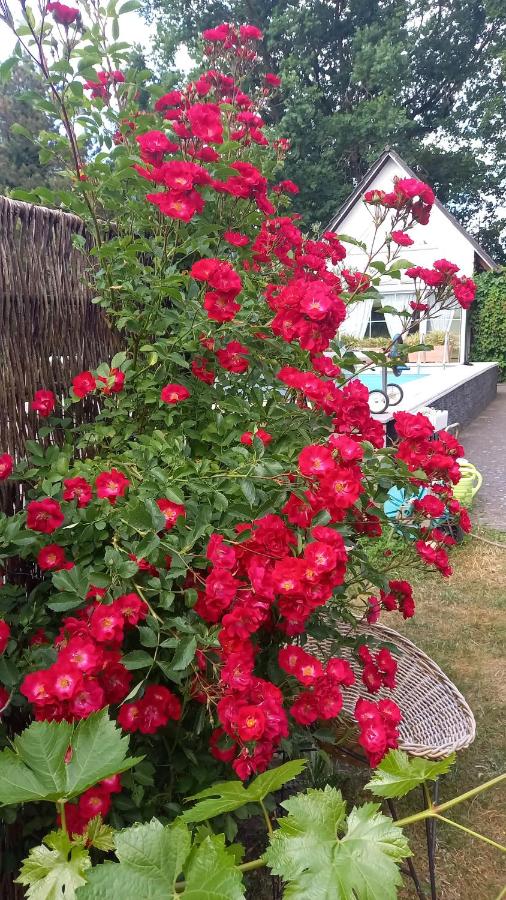 Ferienhaus Rose & Lavendel - Bed and Breakfast