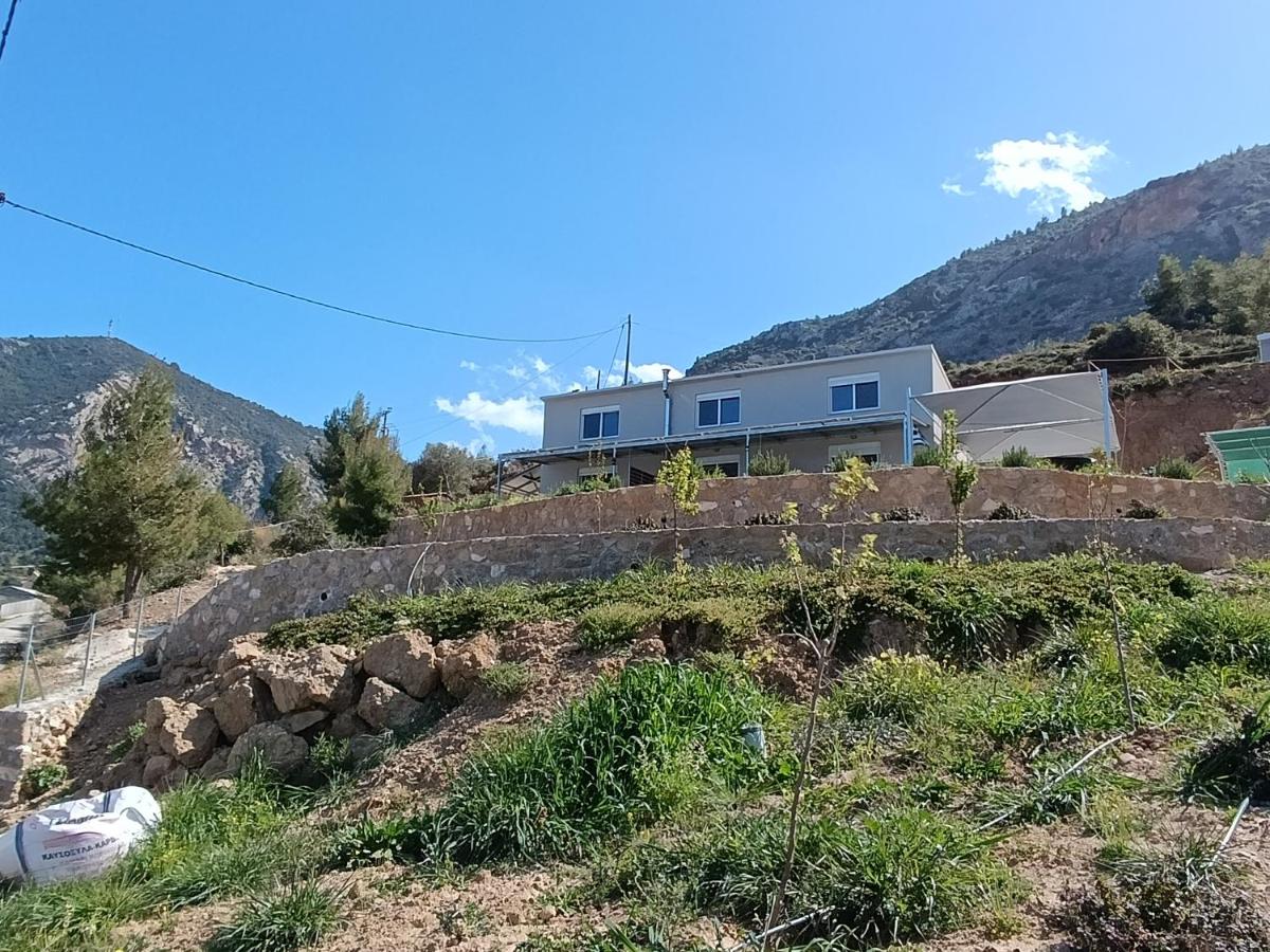 Altheas Maisonettes - B&B