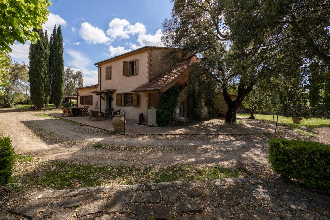 B&B Roccastrada - Appartamento Tenuta di Litiano - Happy Rentals - Bed and Breakfast Roccastrada