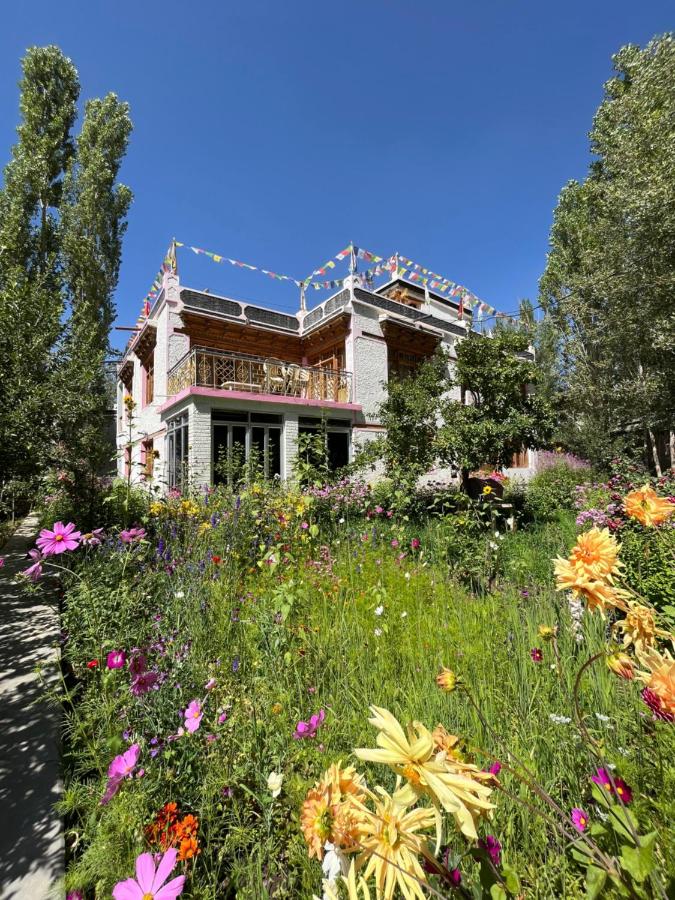 B&B Leh - Napishu Guest House - Bed and Breakfast Leh