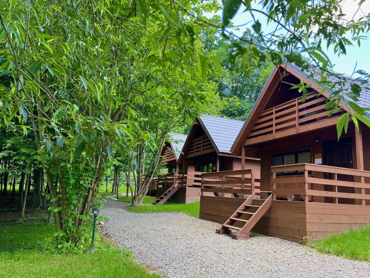 Bieszczady Kameralnie - B&B