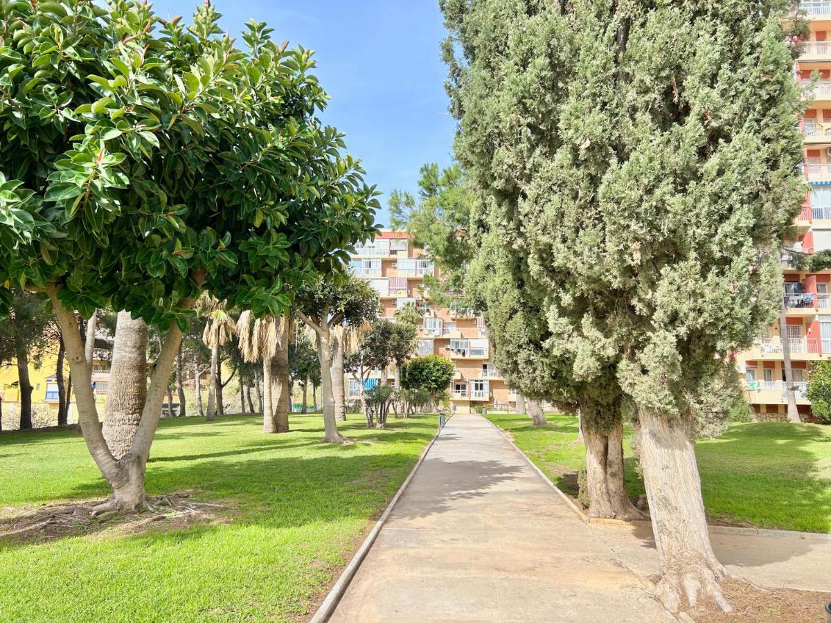 Hoja de palma - Chambres d’hôtes Benalmádena