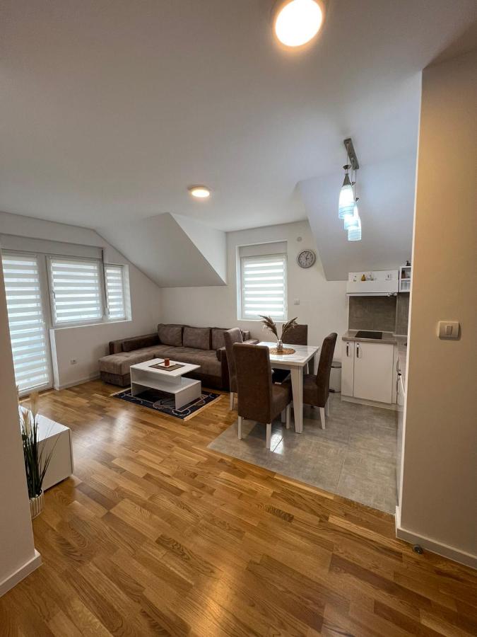 Milka apartman Sokobanja - Chambres d’hôtes