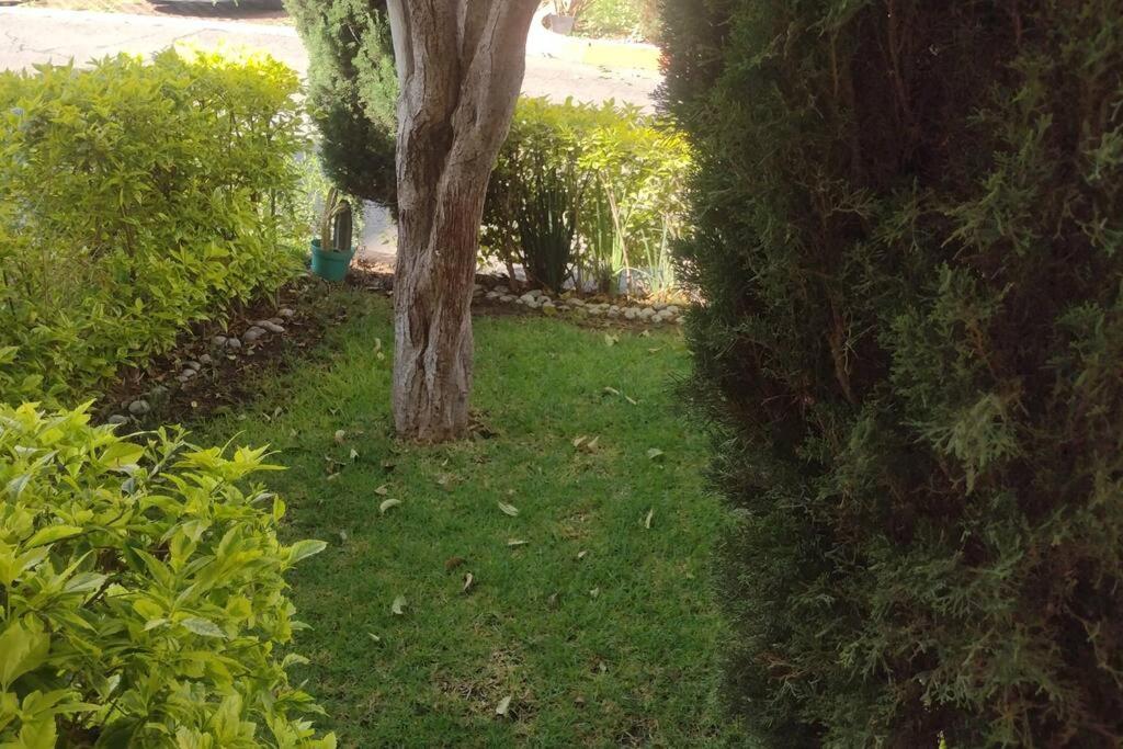 casa con vigilancia las 24hrs - Bed and Breakfast