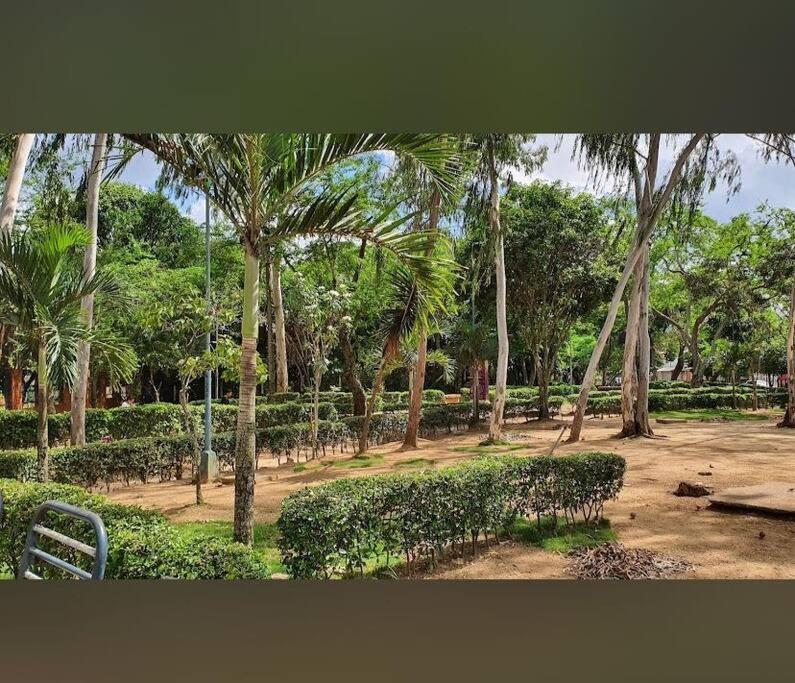 Cómodo apartamento en la ciudad bonita - B&B Bucaramanga