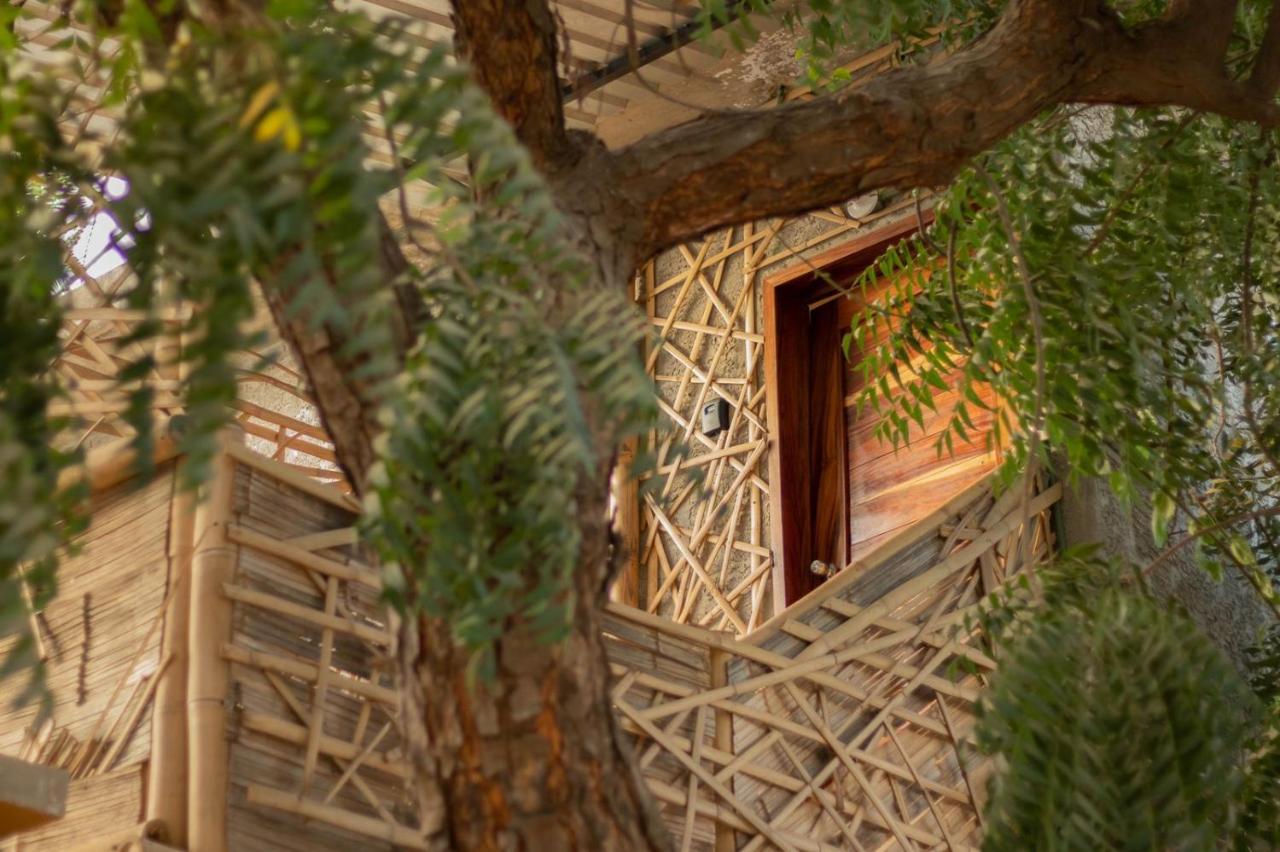 Loft Pacífico - B&B Brisas de Zicatela