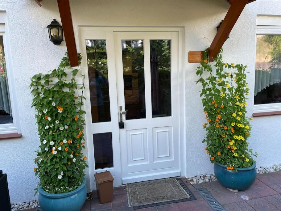 Ferienwohnung Edith - Ferienwohnung Güster