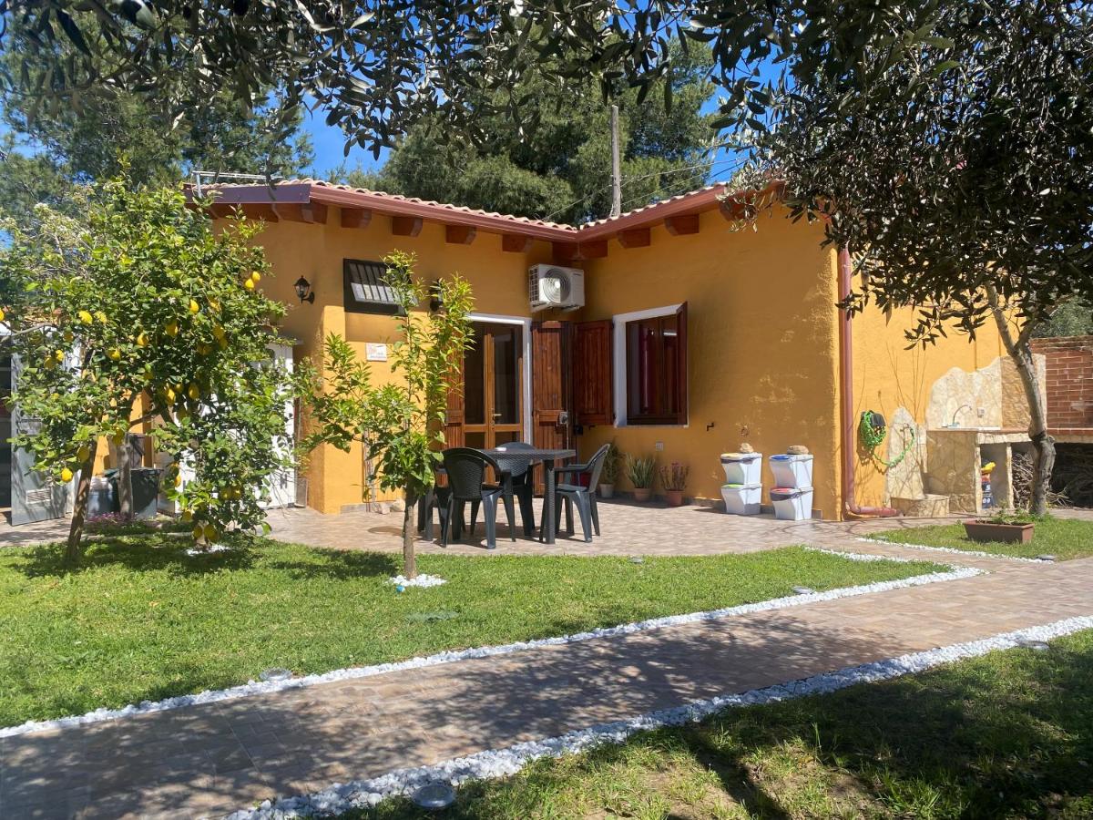 Casa vacanze Shardana - B&B Iglesias