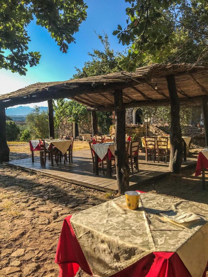 Junior Suite met Terras