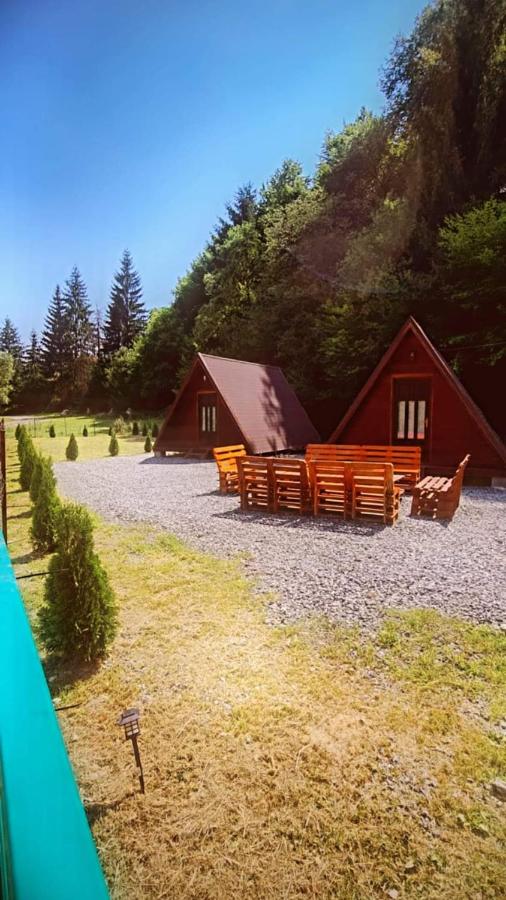 Moara de Pădure - B&B