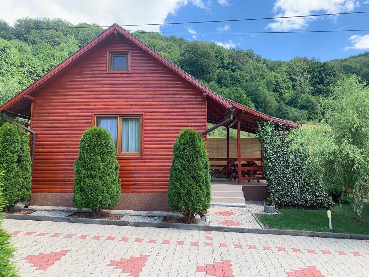 Pensiunea Azurul - B&B