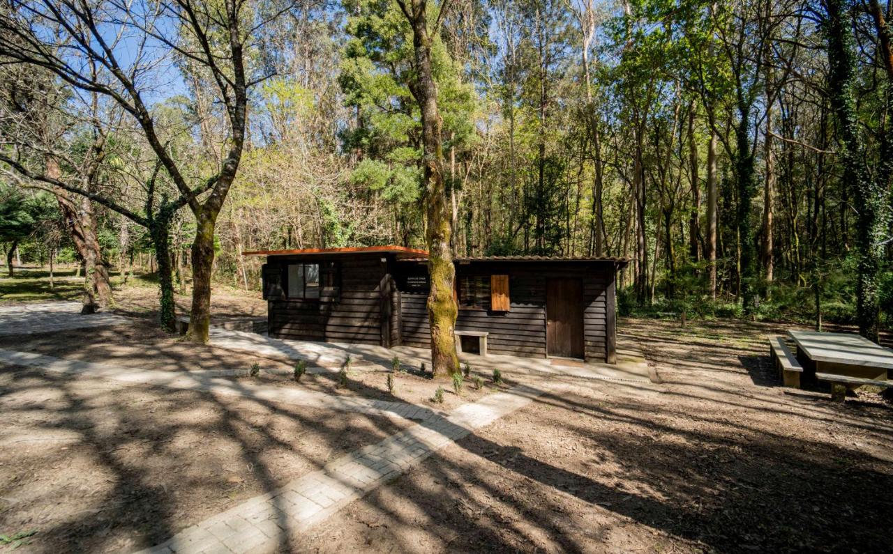 Cabaña quinta do Conde - B&B Ponteareas