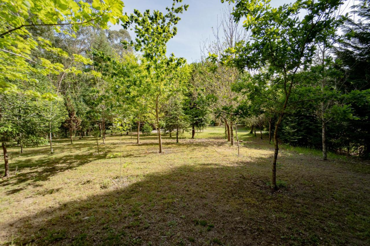 Cabaña quinta do Conde - B&B Ponteareas