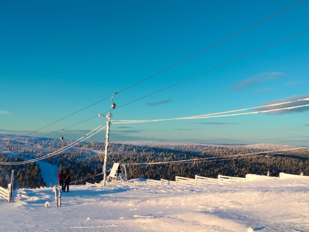 Borealis - B&B Saariselka