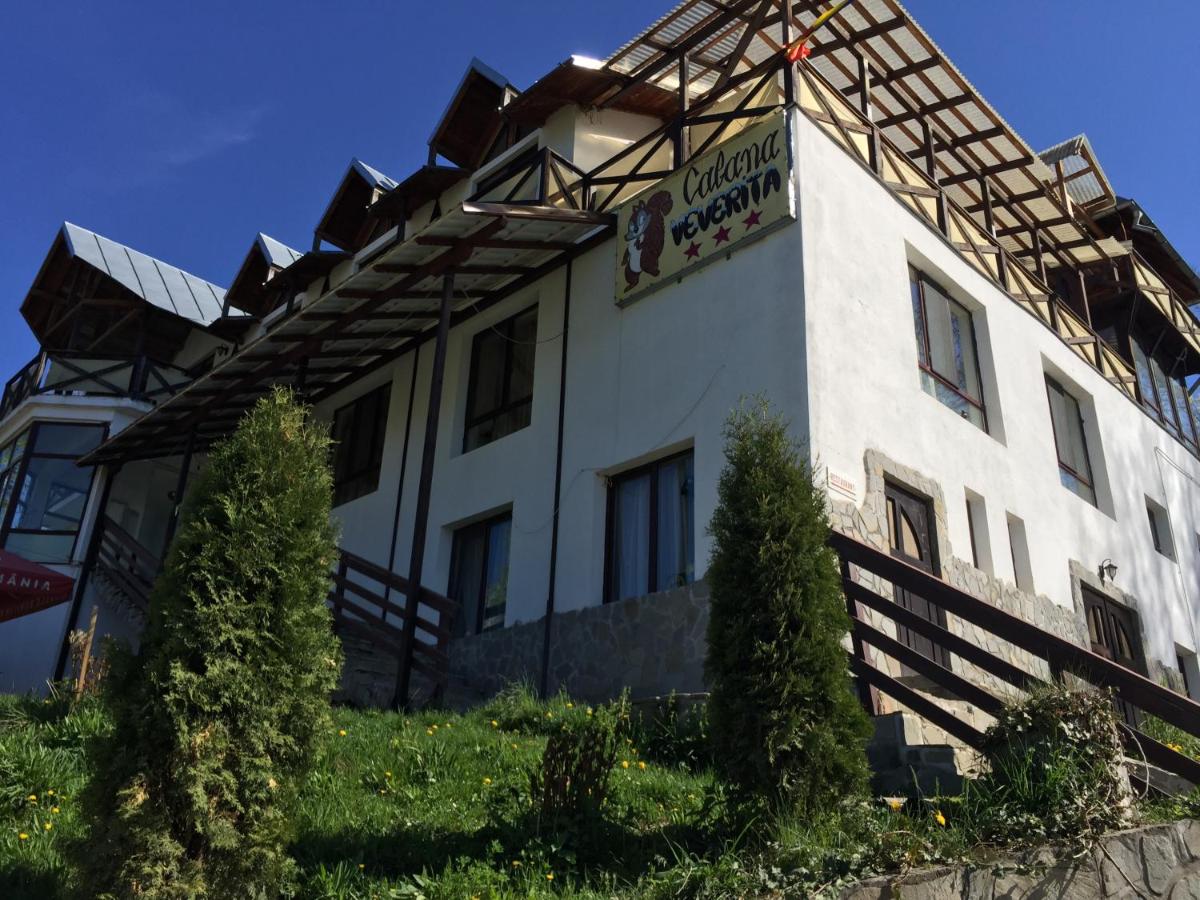 Pensiunea Cabana Veverita Valea Doftanei - B&B Trăisteni