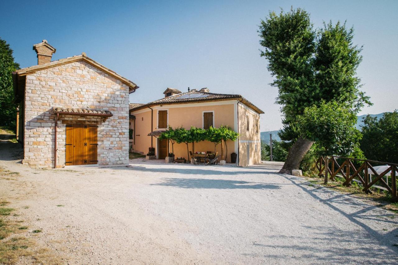 Casetta in Pietra - B&B
