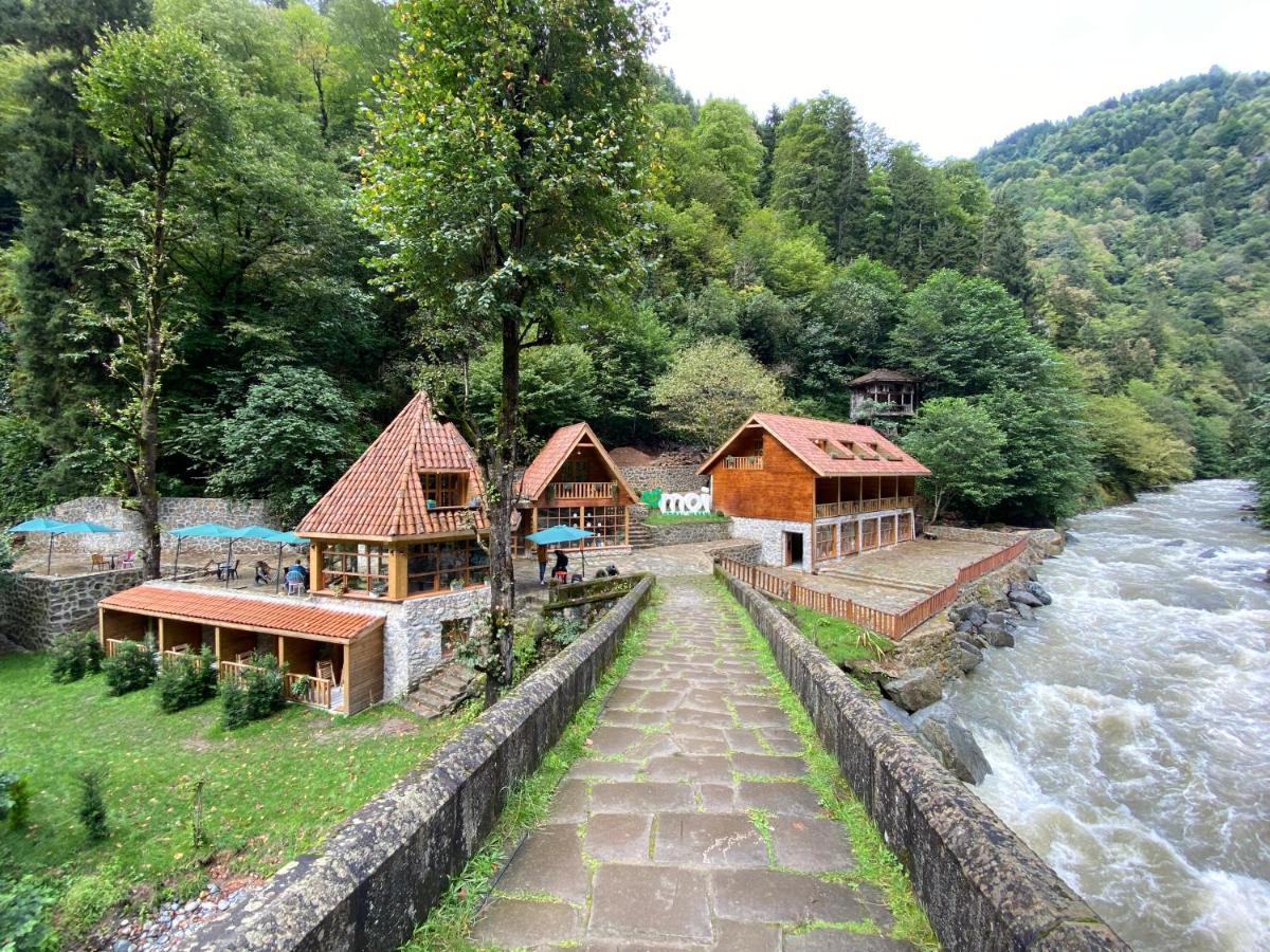 B&B Rize - Moi - Bed and Breakfast Rize