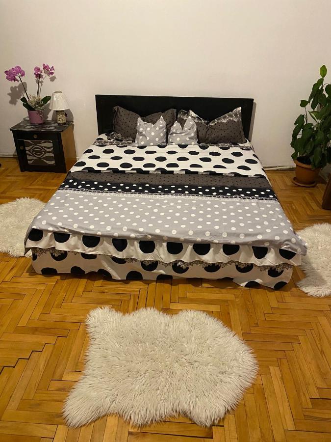 B&B Oradea - Nelia Dream Apartment - Bed and Breakfast Oradea