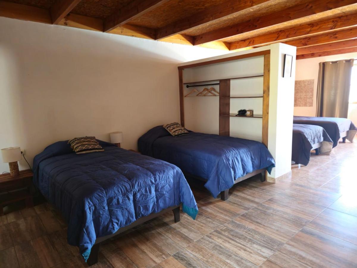 Bed in 4-Bed Mixed Dormitory Room