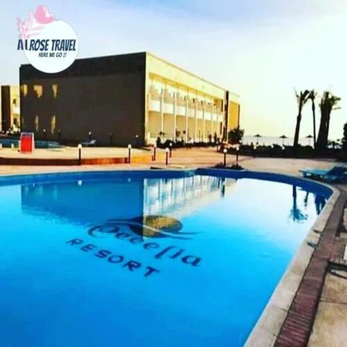 B&B Hurghada - Cecelia Resort Challet - Bed and Breakfast Hurghada