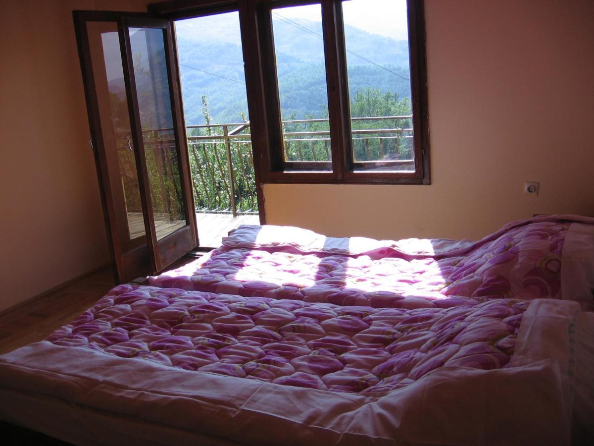 Deluxe Doppel-/Zweibettzimmer mit Balkon