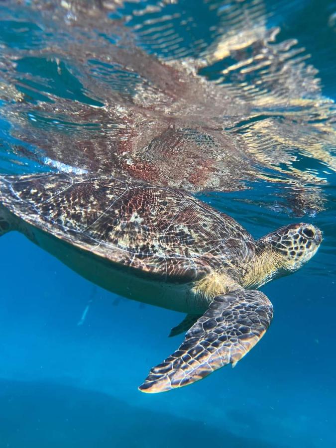 Kaz à Marga - B&B Village