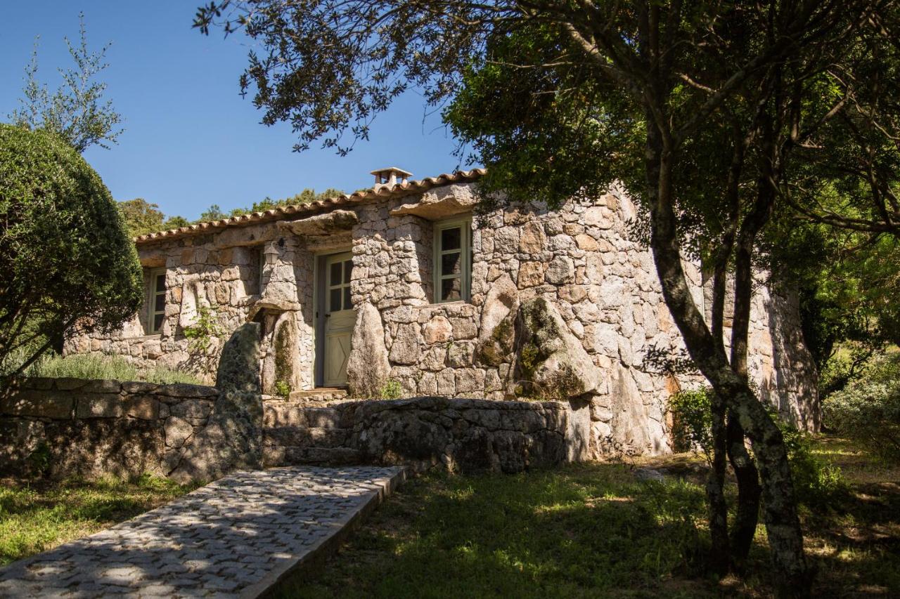 Domaine Pardini - B&B Porto Vecchio