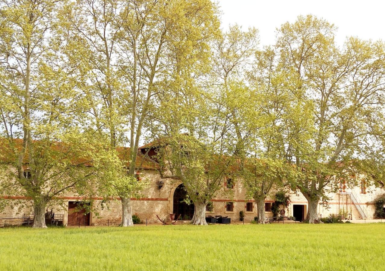 La cave de Grand Cabane - B&B Fourques